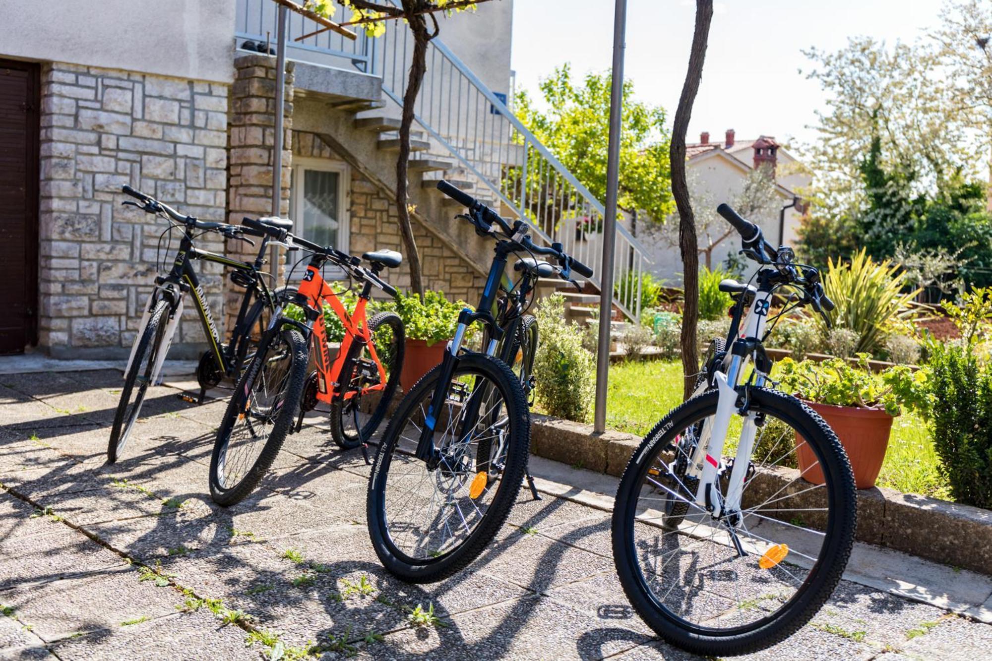 Apartment Tesic Close To The Sea With Shared 4Xbicycles Фажана Экстерьер фото
